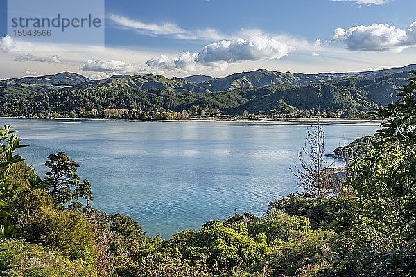 Bergkette hinter der Torrent Bay  Abel Tasman Coastal Track  Abel Tasman National Park  Takaka  Tasman  Südinsel Neuseeland