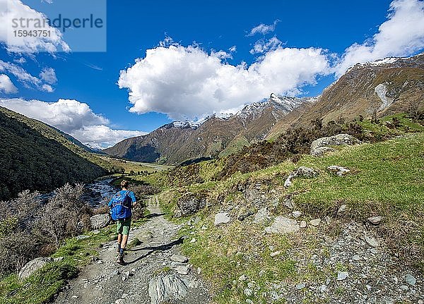 Wanderer auf Wanderweg zum Rob Roy Glacier  Rob Roy Stream  Mount Aspiring National Park  Otago  Südinsel  Neuseeland  Ozeanien