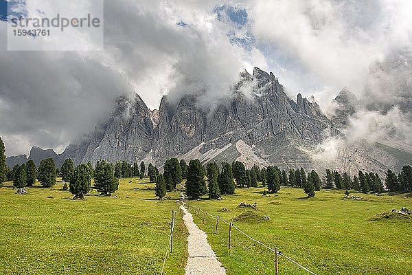 Wanderweg bei der Gschnagenhardt Alm  wolkenverhangene Geislerspitzen  Geislergruppe mit Sass Rigais  Villnösstal  Dolomiten  Südtirol  Italien  Europa