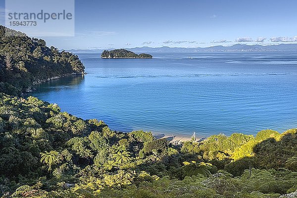 Abel Tasman Coastal Track  Abel Tasman National Park  Torrent Bay  Takaka  Tasman  Neuseeland  Ozeanien