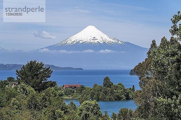 Vulkan Osorno und See von Llanquihue  Puerto Octay  Region de los Lagos  Chile  Südamerika
