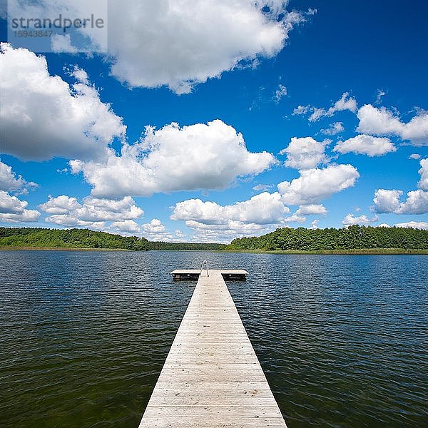 Badesteg am Dranser See  Blauer Himmel mit Cumuluswolken  Schweinrich  Brandenburg  Deutschland  Europa