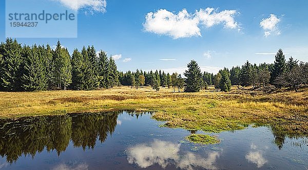 Kleiner See im Moor  Hochmoor am Erzgebirgskamm  Erzgebirge  Dlouhá Louka  Tschechien  Europa