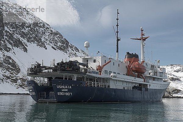 Verankertes Expeditionsschiff  Ocean Harbour  Südgeorgien  Antarktis  Antarktika