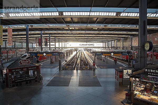 Bahnhofshalle mit leeren Gleisen und Bahnsteigen  Hauptbahnhof  München  Bayern