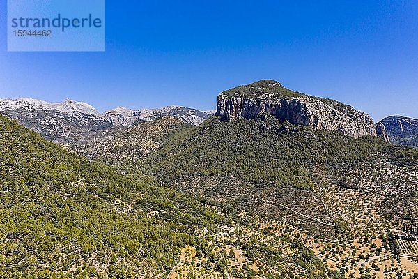 Luftaufnahme  Puig d'Alaro  bei Alaro  Serra de Tramuntana  Mallorca  Balearen  Spanien  Europa