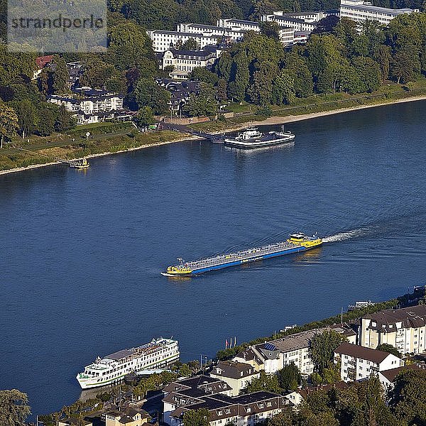 Der Rhein vom Drachenfels aus gesehen  Siebengebirge  Königswinter  Nordrhein-Westfalen  Deutschland  Europa