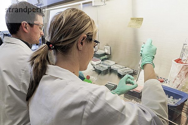 Laboranten forschen an Impfstoff gegen Coronavirus  COVID-19 Pandemie  CureVac GmbH im Technologiepark Tuebingen-Reutlingen  Gründerzentrum für Biotechnologie  Stuttgart  Deutschland  Europa