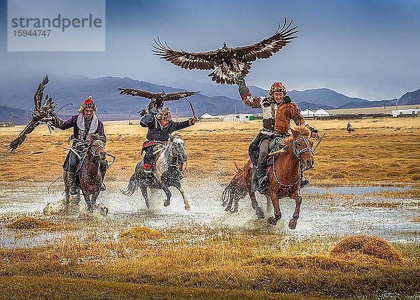 Mongolischer Adlerjäger  drei Kasachen zu Pferd mit dressierten Adlern  Provinz Bajan-Ölgii  Mongolei  Asien