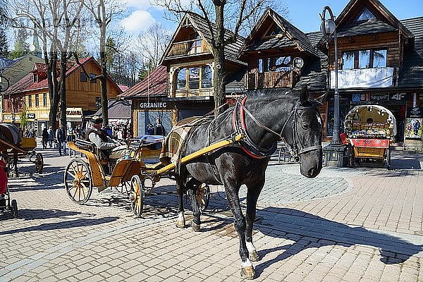 Pferdekutsche in der Fußgängerzone und Flaniermeile Krupowki  Zakopane  Tatra  Kleinpolen  Polen  Europa