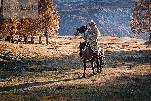 Mongolischer Adlerjäger  Kasachisch reitet Pferd mit dressiertem Adler  Provinz Bajan-Olgii  Mongolei  Asien