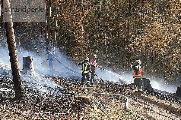 Rund 200 Feuerwehrleute bekämpfen einen Waldbrand im Westerwald bei Waldbreitbach. Aufgrund der Trockenheit hatte sich eine gerodete Fläche auf rund zwei Hektar entzündet. Breitscheid  Rheinland-Pfalz  Deutschland  Europa