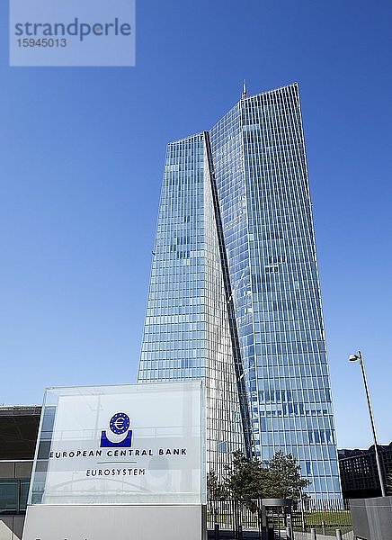EZB Europäische Zentralbank  Frankfurt am Main  Hessen  Deutschland  Europa