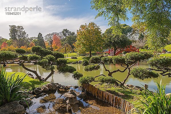 Jardin Japonés  Japanischer Garten  Buenos Aires  Argentinien  Südamerika