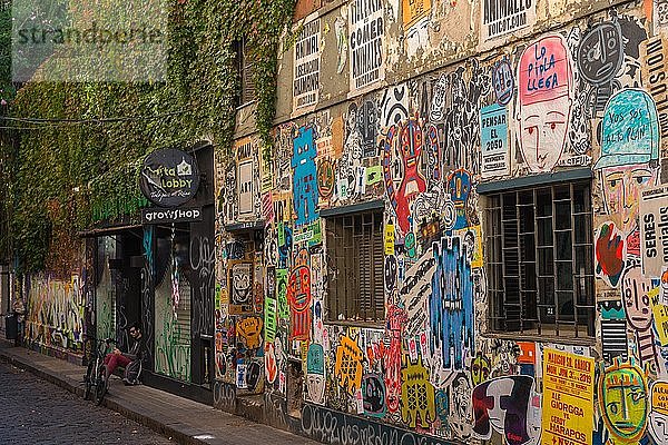 Graffiti  bunt bemalte Häuser  Stadtteil Palermo  Buenos Aires  Argentinien  Südamerika