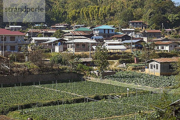 Shan Dorf  vorne Gemüsefelder mit Bewässerungsanlagen  bei Pyin U Lwin  Mandalay District  Myanmar  Asien