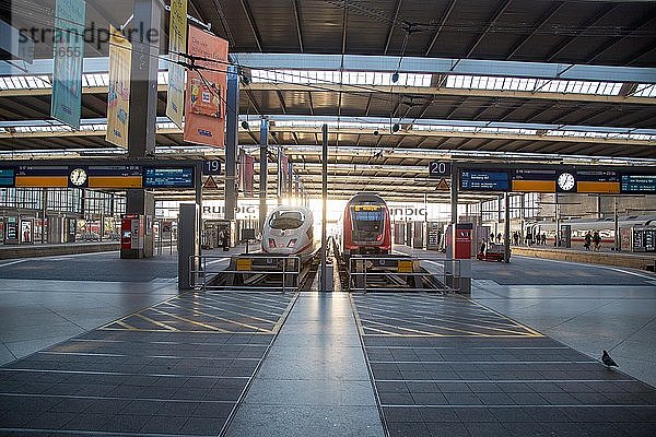 Bahnhofshalle mit leeren Gleisen und Bahnsteigen  Hauptbahnhof  München  Bayern