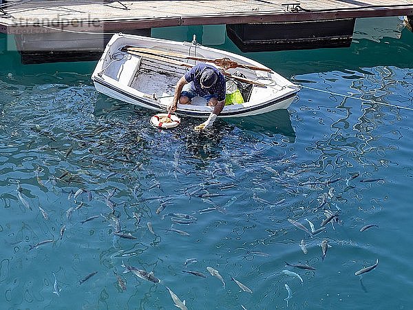 Mann im Boot füttert Fische am Hafen von San Sebastian  San Sebastian  La Gomera  Kanaren  Spanien  Europa