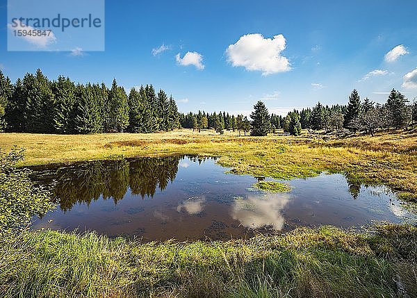 Kleiner See im Moor  Hochmoor am Erzgebirgskamm  Erzgebirge  Dlouhá Louka  Tschechien  Europa