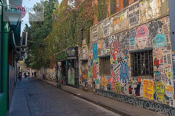 Graffiti  bunt bemalte Häuser  Stadtteil Palermo  Buenos Aires  Argentinien  Südamerika