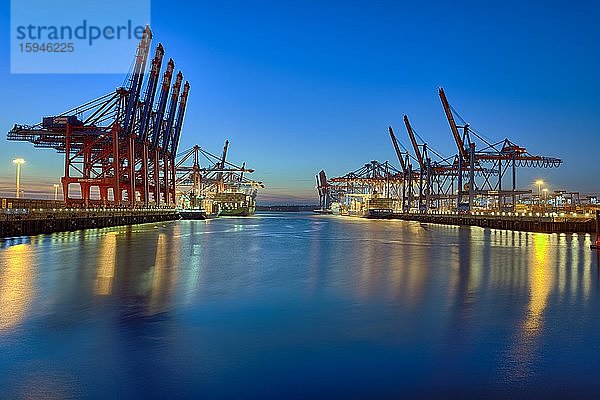 Burchardkai  Hafen  beleuchtet  Abendstimmung  Hamburg  Deutschland  Europa