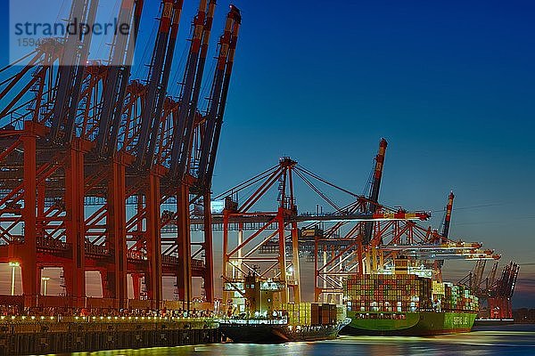 Burchardkai mit beladenen Containerschiffen  Hafen  beleuchtet  Abendstimmung  Hamburg  Deutschland  Europa