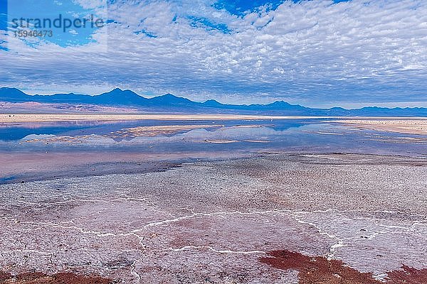 Laguna de Chaxa  Salar de Atacama  Salzsee  Atacama Wüste  San Pedro de Atacama  Antofagasta  Chile  Südamerika
