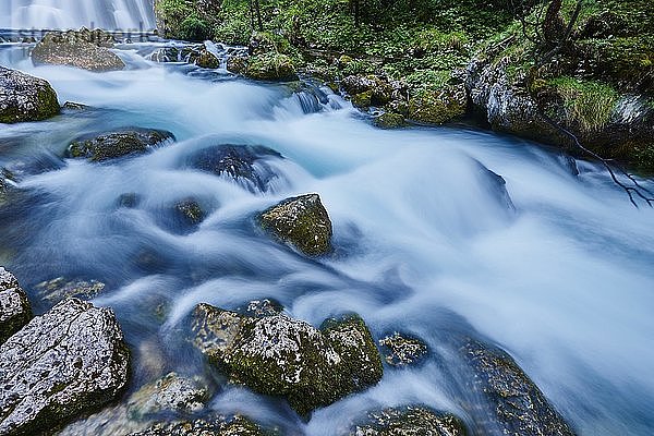 Gebirgsfluss Schwarzenbach  Golling  Salzburger Land  Österreich  Europa