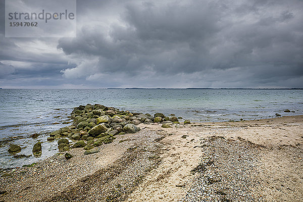 Buhne am Strand  Geltinger Bucht  Kreis Schleswig-Flensburg  Deutschland  Europa