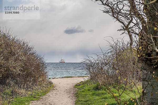 Weg zum Strand  Falshoeft  Kreis Schleswig-Flensburg  Schleswig-Holstein  Deutschland  Europa