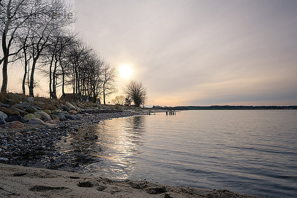 Geltinger Bucht  Wackerballig  Kreis Schleswg-Flensburg  Schleswig-Holstein  Deutschland  Europa