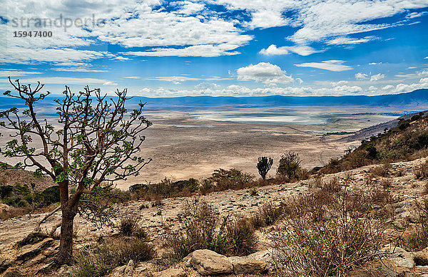 Ngorongoro Krater  Serengeti Nationalpark  Tansania  Ostafrika  Afrika