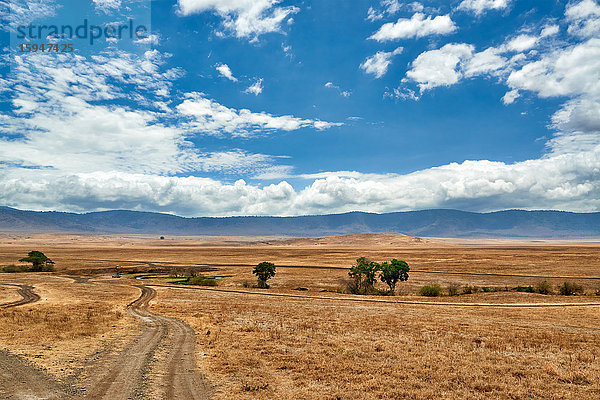 Ngorongoro Krater  Serengeti Nationalpark  Tansania  Ostafrika  Afrika