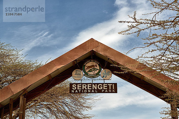 Serengeti Nationalpark  Tansania  Ostafrika  Afrika