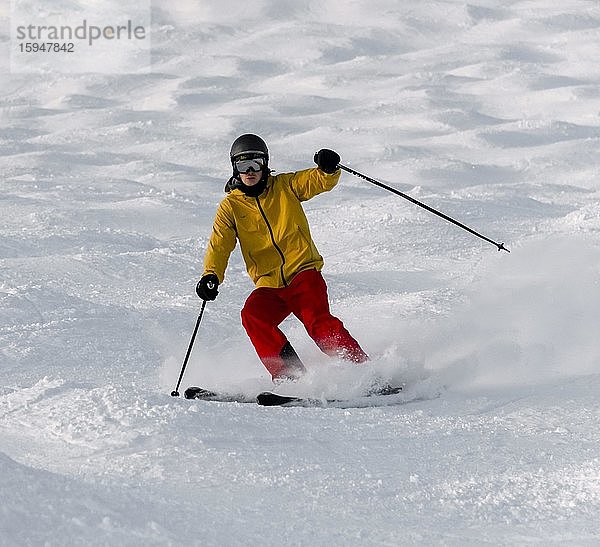 Skifahrer auf einer Buckelpiste  Abfahrt Hohe Salve  SkiWelt Wilder Kaiser Brixenthal  Hochbrixen  Tirol  Österreich  Europa