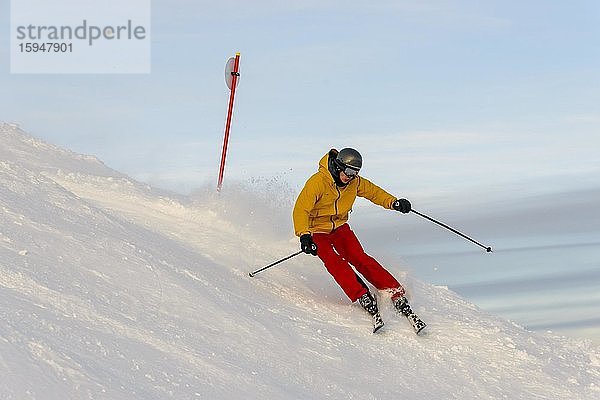 Skifahrer  Abfahrt Hohe Salve  SkiWelt Wilder Kaiser Brixenthal  Hochbrixen  Tirol  Österreich  Europa