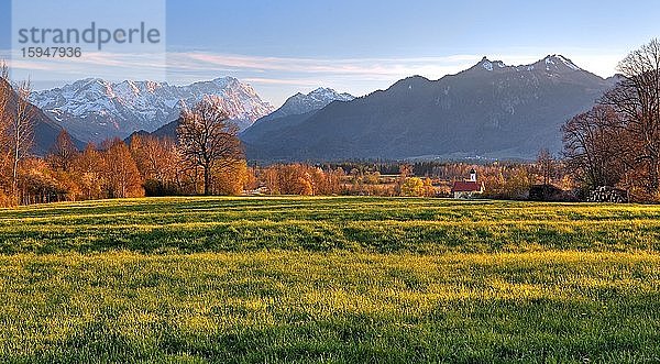 Vorfrühlingslandschaft beim Weiler Weichs gegen Zugspitzmassiv  Wettersteingebirge und Ammergauer Alpen  Ohlstadt  Loisachtal  Das Blaue Land  Oberbayern  Bayern  Deutschland  Europa