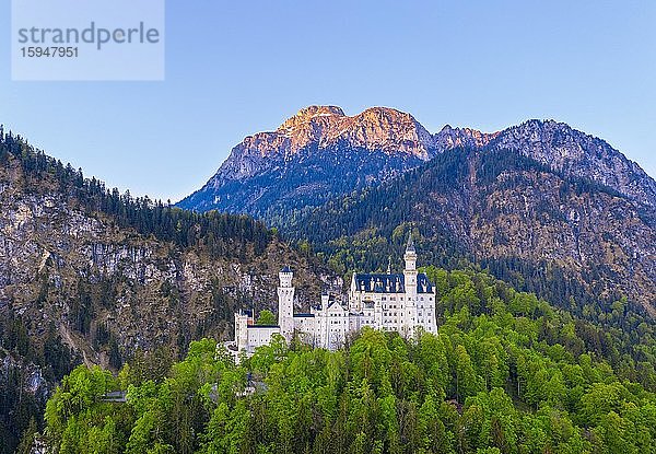 Schloss Neuschwanstein  Berg Säuling im Morgenlicht  Ammergauer Alpen  bei Schwangau  Drohnenaufnahme  Ostallgäu  Allgäu  Schwaben  Bayern  Deutschland  Europa
