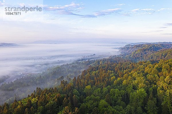 Nebel im Isartal im Morgenlicht  bei Icking  Tölzer Land  Drohnenaufnahme  Oberbayern  Bayern  Deutschland  Europa