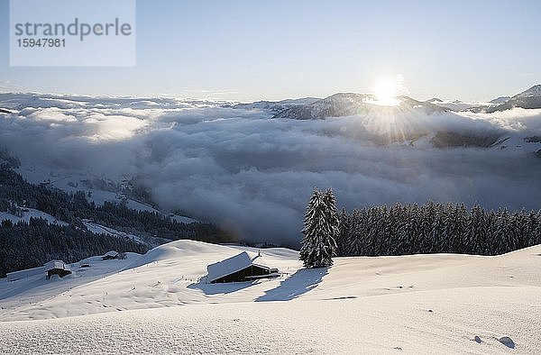 Blick ins Brixental mit Morgensonne und Hochnebel im Winter  Hochbrixen  Brixen im Thale  Tirol  Österreich  Europa