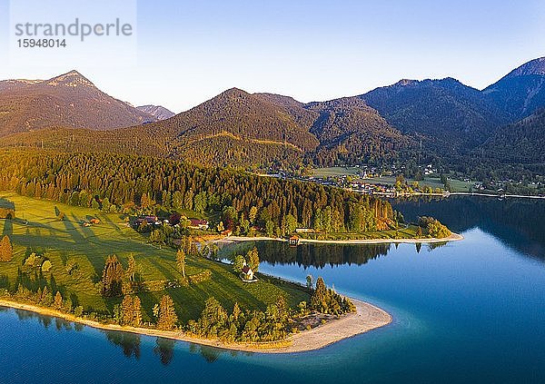 Walchensee mit Halbinsel Zwergern im Morgenlicht  Drohnenaufnahme  Oberbayern  Bayern  Deutschland  Europa