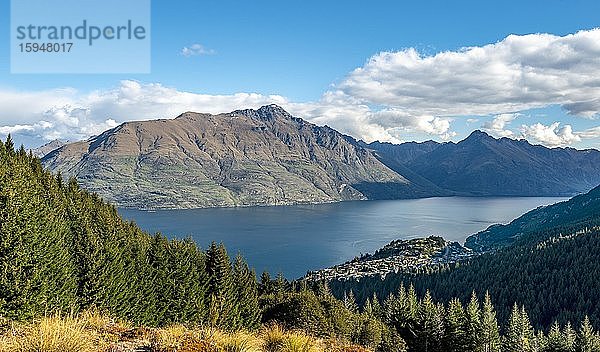 Ausblick auf Lake Wakatipu  Wald und Berge  Ben Lomond Scenic Reserve  Otago  Südinsel  Neuseeland  Ozeanien