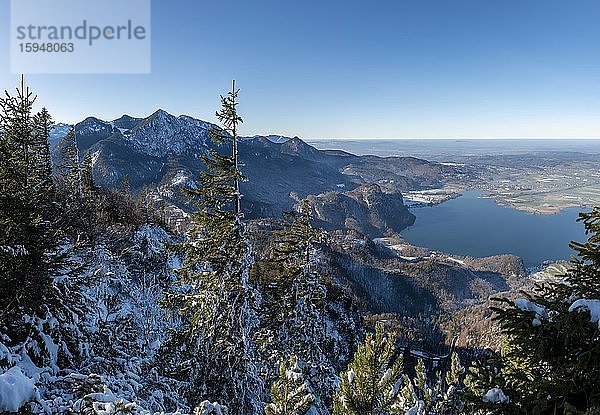 Blick vom Jochberg auf den Kochelsee im Winter mit Schnee  Alpenvorland  Oberbayern  Bayern  Deutschland  Europa