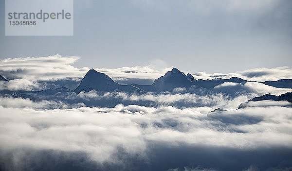 Blick auf Berge zwischen Wolken  Hochnebel  Hochbrixen  Brixen im Thale  Tirol  Österreich  Europa