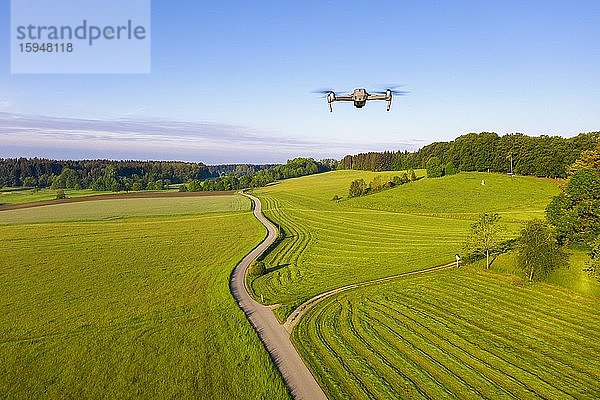 Fliegende Drohne DJI Mavic 2 Pro  kleine Straße durch Wiesenlandschaft  Dorfener Höhe bei Icking  Tölzer Land  Drohnenaufnahme  Oberbayern  Bayern  Deutschland  Europa
