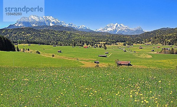 Frühlingslandschaft mit Wettersteingebirge und Zugspitzmassiv   Krün  Werdenfelser Land  Oberbayern  Bayern  Deutschland  Europa