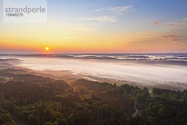 Nebel über Isartal bei Sonnenaufgang  bei Icking  Tölzer Land  Drohnenaufnahme  Oberbayern  Bayern  Deutschland  Europa