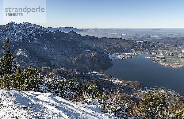 Blick vom Jochberg auf den Kochelsee im Winter mit Schnee  links Herzogstand  Alpenvorland  Oberbayern  Bayern  Deutschland  Europa
