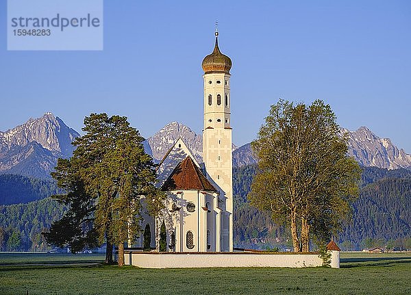 Kirche St. Coloman  bei Schwangau  Ostallgäu  Allgäu  Schwaben  Bayern  Deutschland  Europa