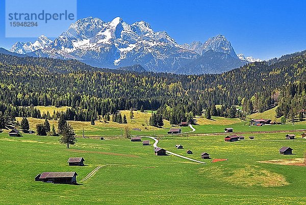Frühlingslandschaft mit Zugspitzmassiv im Wettersteingebirge  Krün  Werdenfelser Land  Oberbayern  Bayern  Deutschland  Europa